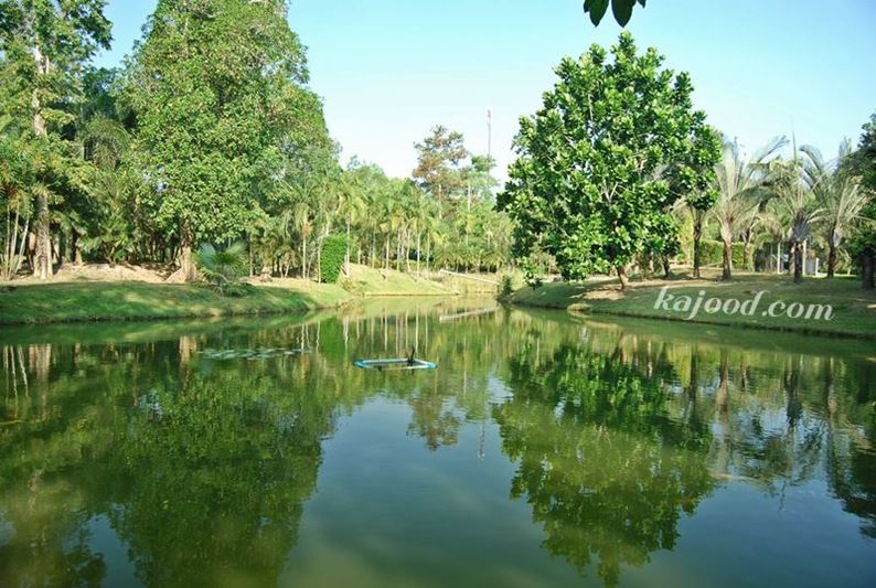 แหล่งท่องเที่ยวสุราษฎร์