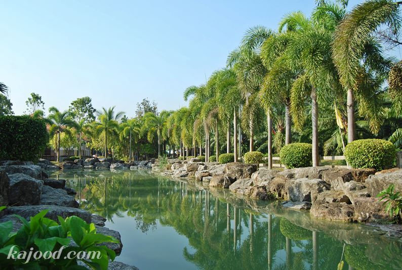 ท่องเที่ยวสุราษฎร์ธานี